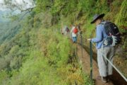 Vandring i grøn regnskov langs en levada