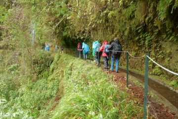 Vandring i regnskoven på Madeira