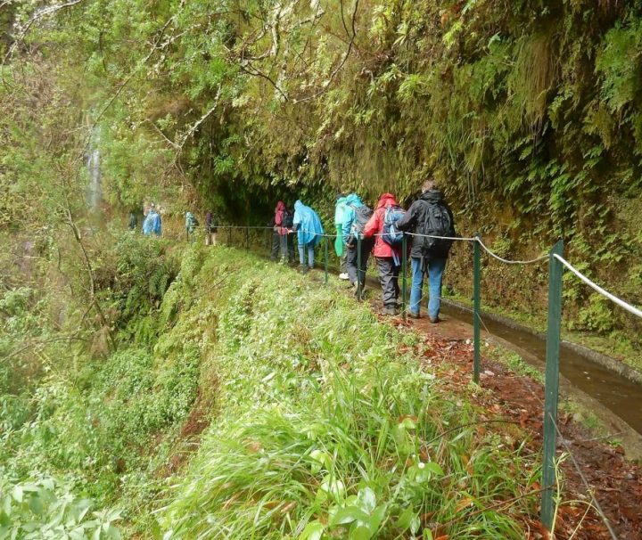Vandring i regnskoven på Madeira