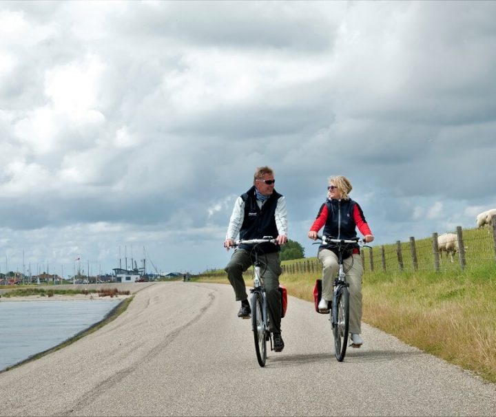 Cykling ad flade veje