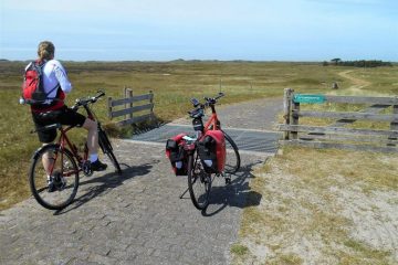 Cyklister på flade enge i Holland