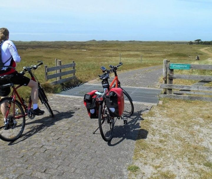 Cyklister på flade enge i Holland