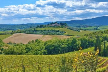 Vandreferie i bakket landskab med vinmarker i Toscana