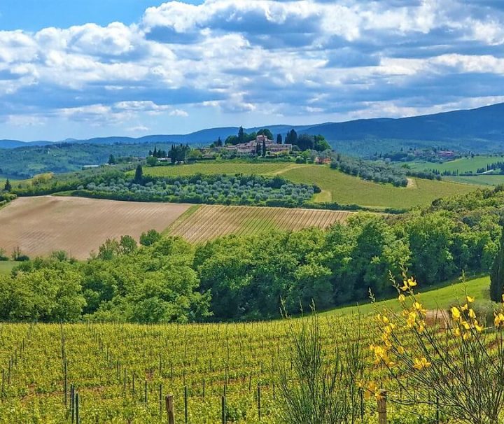 Vandreferie i bakket landskab med vinmarker i Toscana