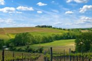 Vandreferie i Toscana med bakker og vinmarker