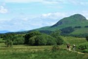 Vandrere i grønt landskab nær Drymen på West Highland Way. Vandreferie Skotland