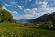 Vandreferie Wolfgangssee i Salzkammergut Østrig