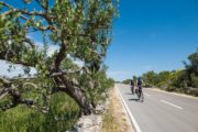 Cykelferie på trafikfri vej