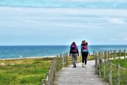 Vandring ad træfortove langs Atlanterhavskysten på Portugisisk Camino