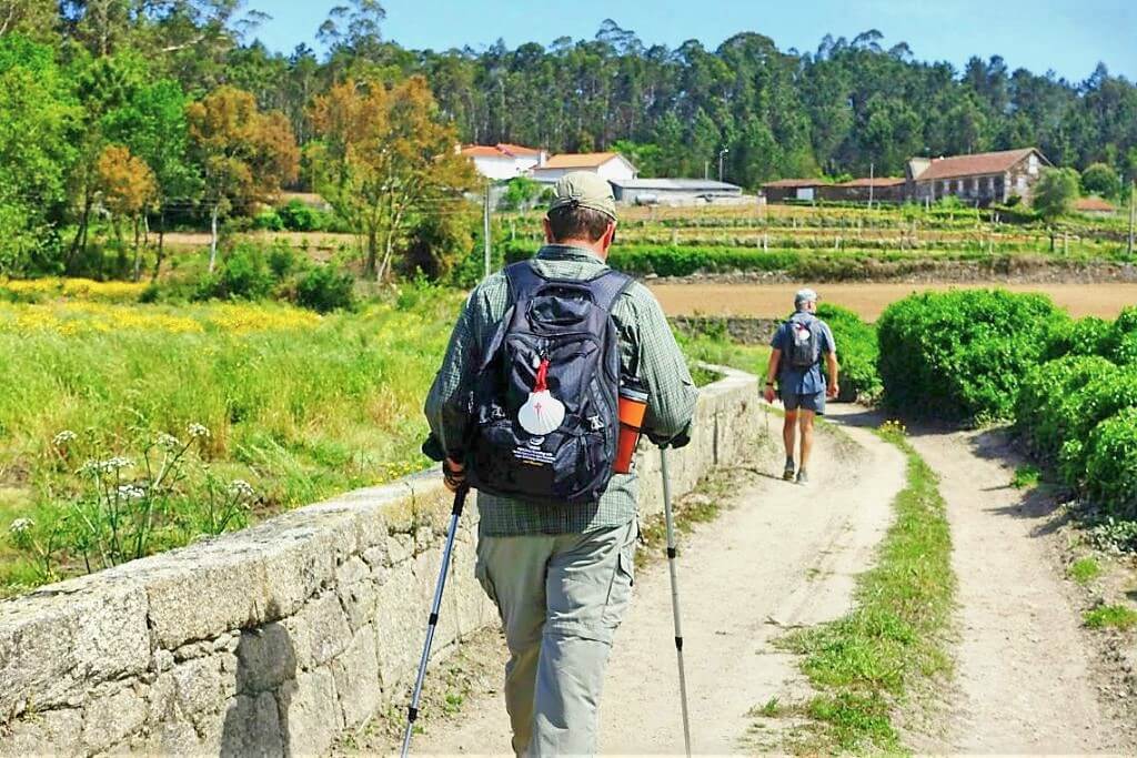Vandring ad grusvej gennem landbrugsland med vinmarker på Portugisisk Camino