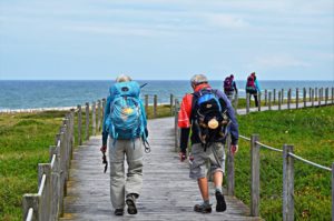 Vandring ad træbroer langs kysten på Portugisisk Camino