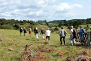 Vandring i Nationalpark Mols Bjerges bakkede landskab