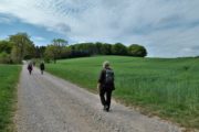 Vandring forbi marker langs Nørreherredsvej