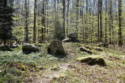 5000 år gammel stendysse i Ringelmose Skov