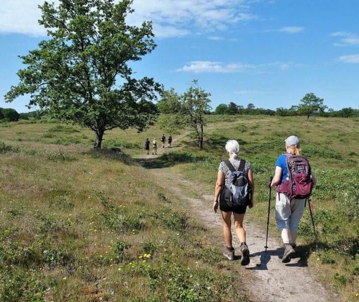 Vandring ad Bjergetapen i retning mod Agri Bavnehøj