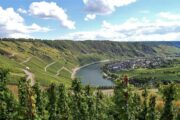 Mosel sløjfen ved Traben-Trarbach