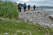 Vandring langs stenstranden på Mols Hoved