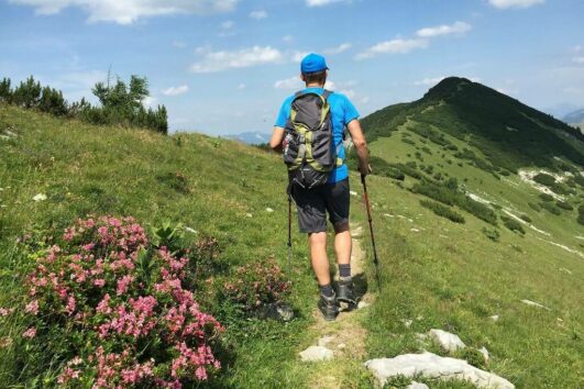 Sætervandring i Salzkammergut