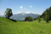 Vandreferie-Østrig-Salzkammergut-Sætervandring-Wolfgangsee-sæter