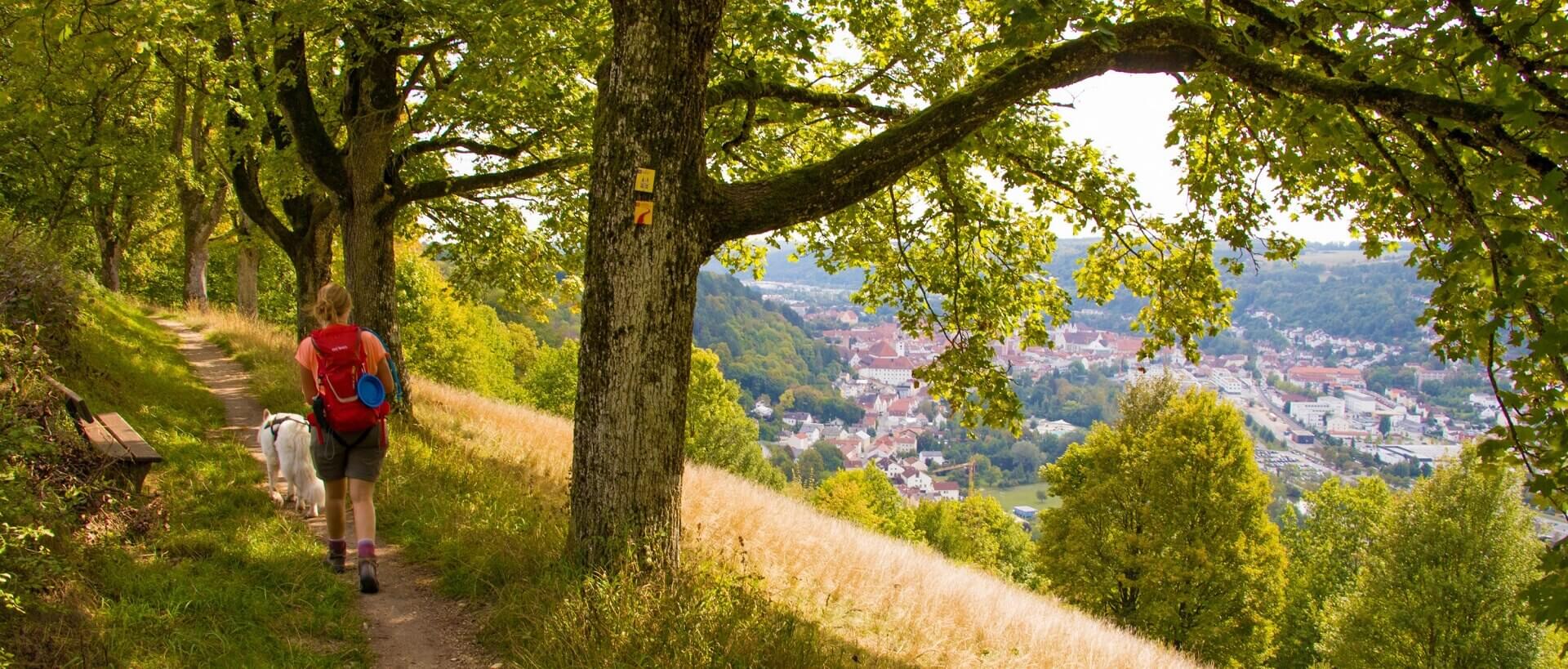 Altmühltals Panoramasti