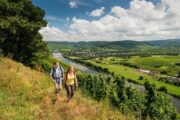 Vandreferie Tyskland Mosel Eifel smukke udsigter