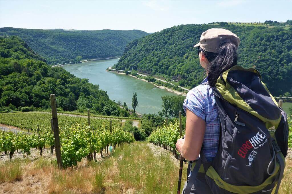 Vandring langs Rhinen med store skove