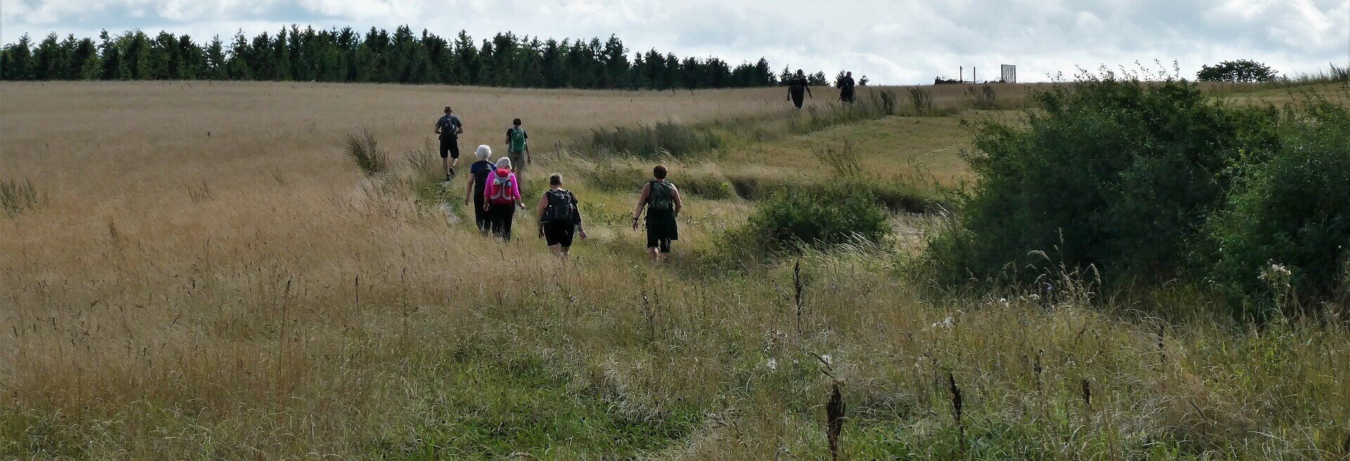 Mols Bjerge Stiens Kaløetape