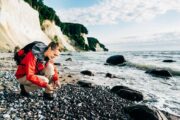 På strandene nedenfor klinterne er det muligt at finde fossiler ©TMV/Roth