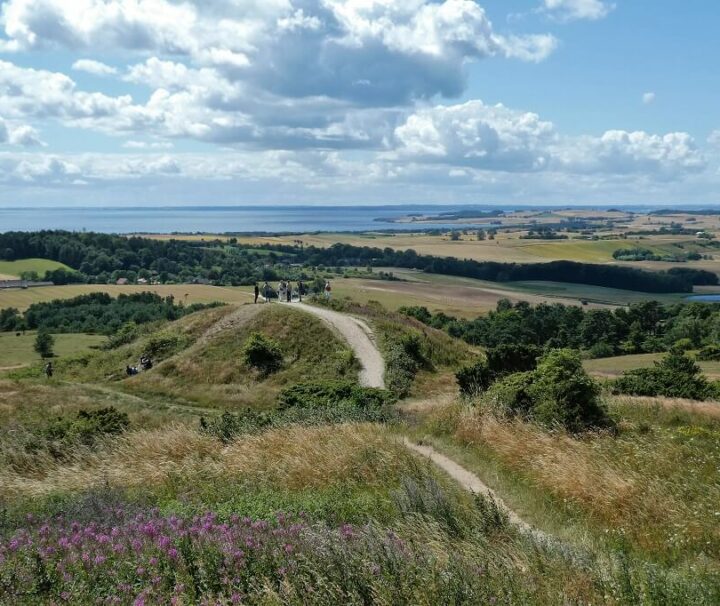 Vandreferie-Danmark-Mols-Bjerge-Trehøje