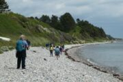 Vandring langs stranden på Sletterhage