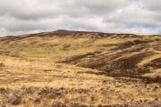 Åbent hedelandskab i Cairngorms Nationalpark
