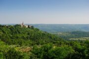 Vidtstrakt udsigt over skovene ved Groznjan. Cykelkrydstogt Istrien