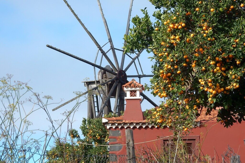 Vindmølle appelsiner La Palma